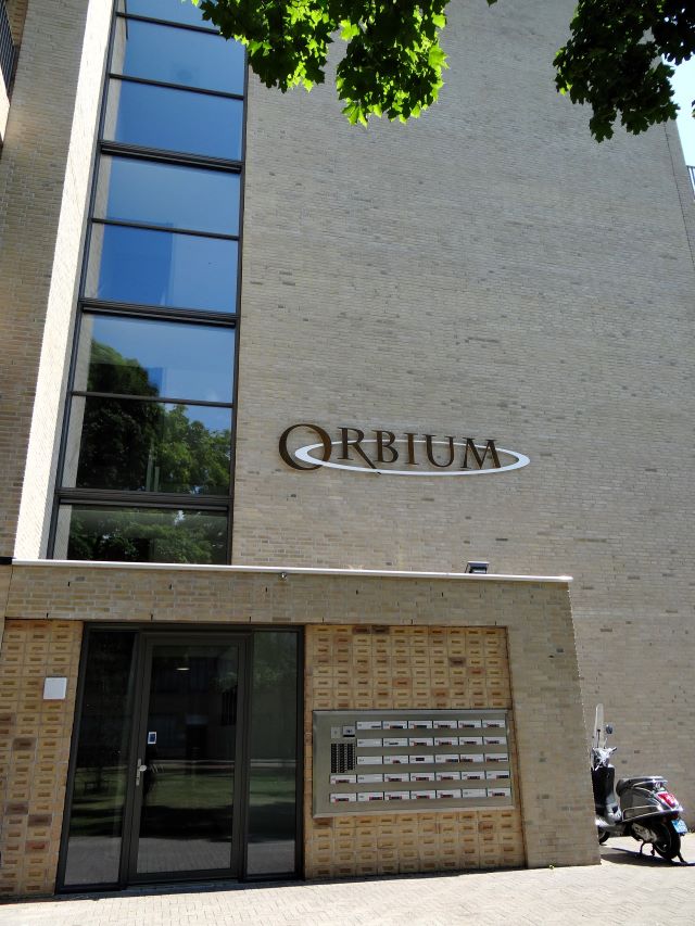 Orbium.JPG title = 